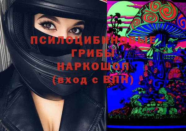 амф Алексин