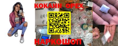 дмт Кингисепп