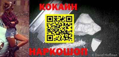дмт Кингисепп