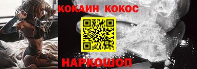 дмт Кингисепп