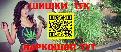 дмт Кингисепп