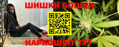 дмт Кингисепп