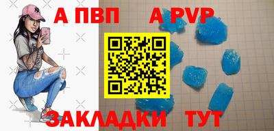 дмт Кингисепп