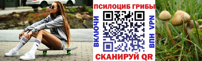 купить  цена  Кимры  Галлюциногенные грибы MAGIC MUSHROOMS 